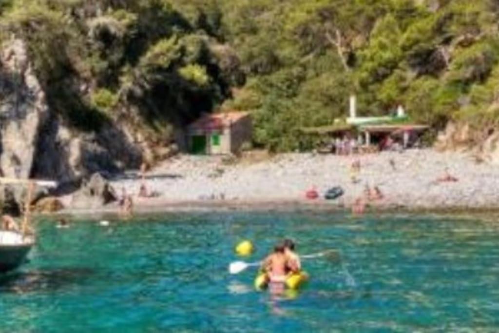 Piscina Playa Wifi Cozy Home Tax Free Palamos Luaran gambar